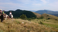 Italy-Abruzzo/Molise-Western Riding in Isernia